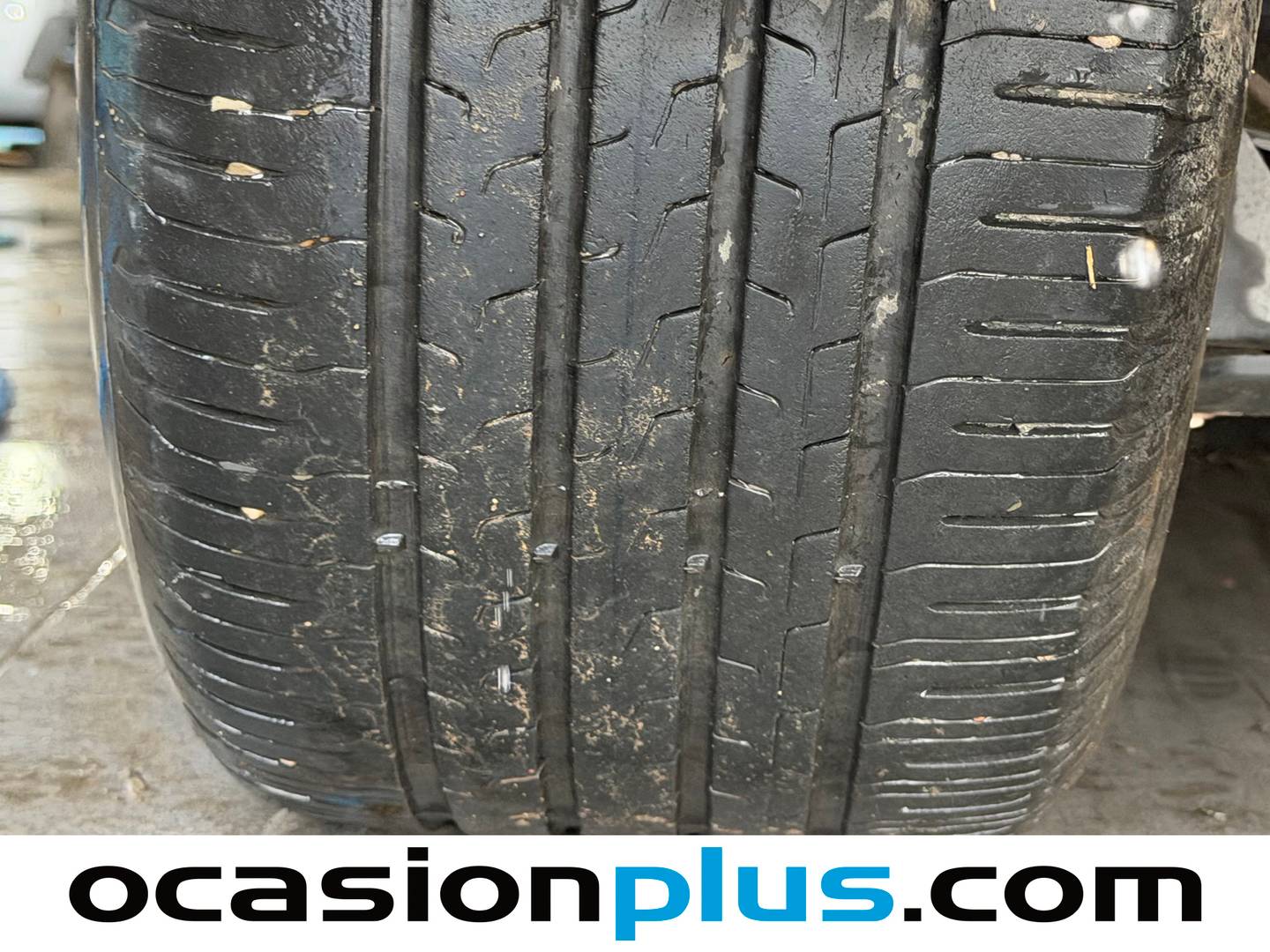 Ford Focus Ford Focus 1.0 Ecoboost MHEV Active (125 CV) manual