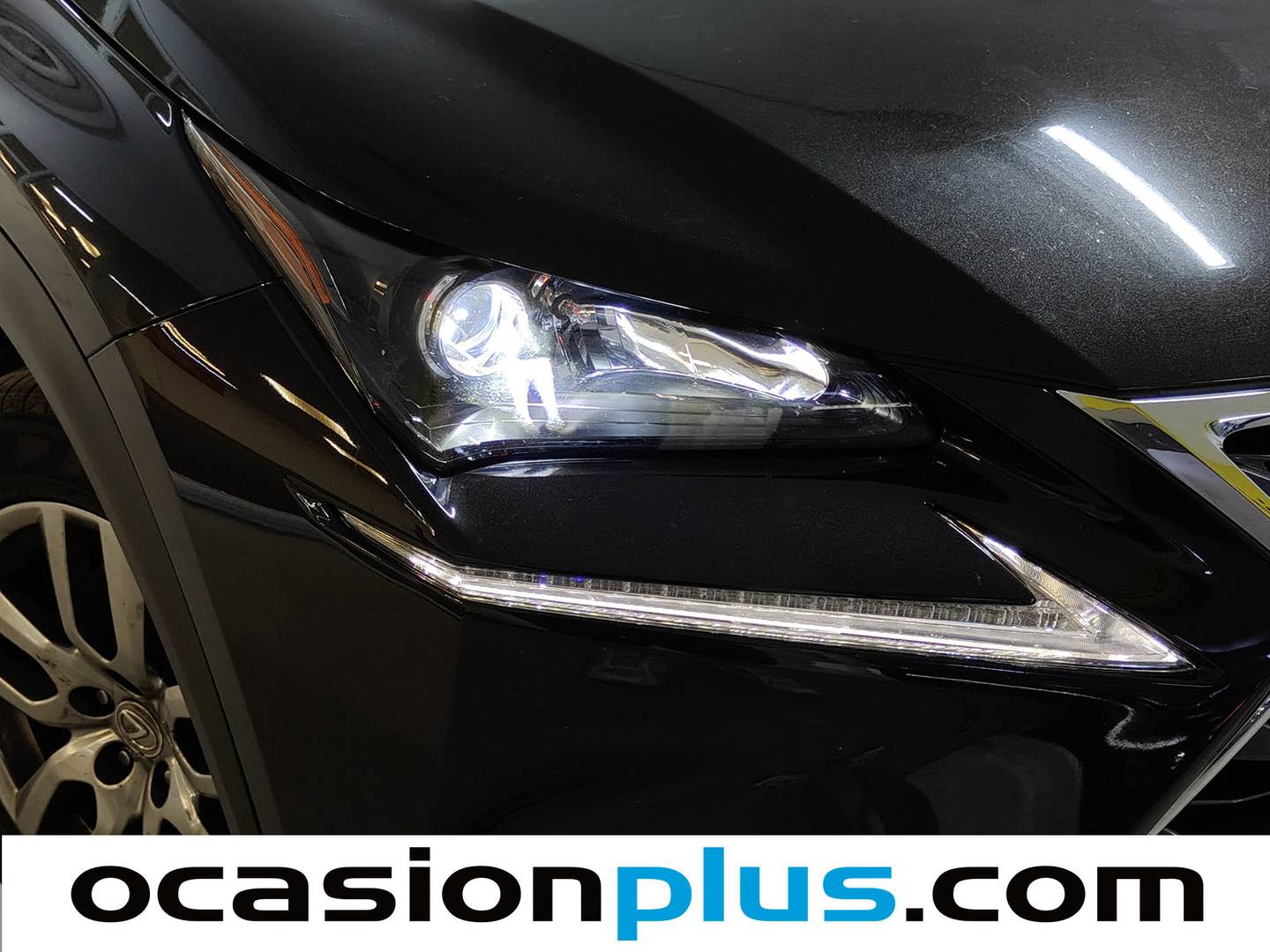 Lexus NX Lexus NX 300h Executive Tecno 4WD (197 CV) al mejor precio