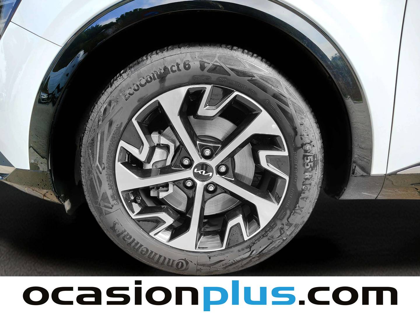 KIA Sportage KIA Sportage 1.6 T-GDi MHEV Tech 4x2 (150 CV) de segunda mano