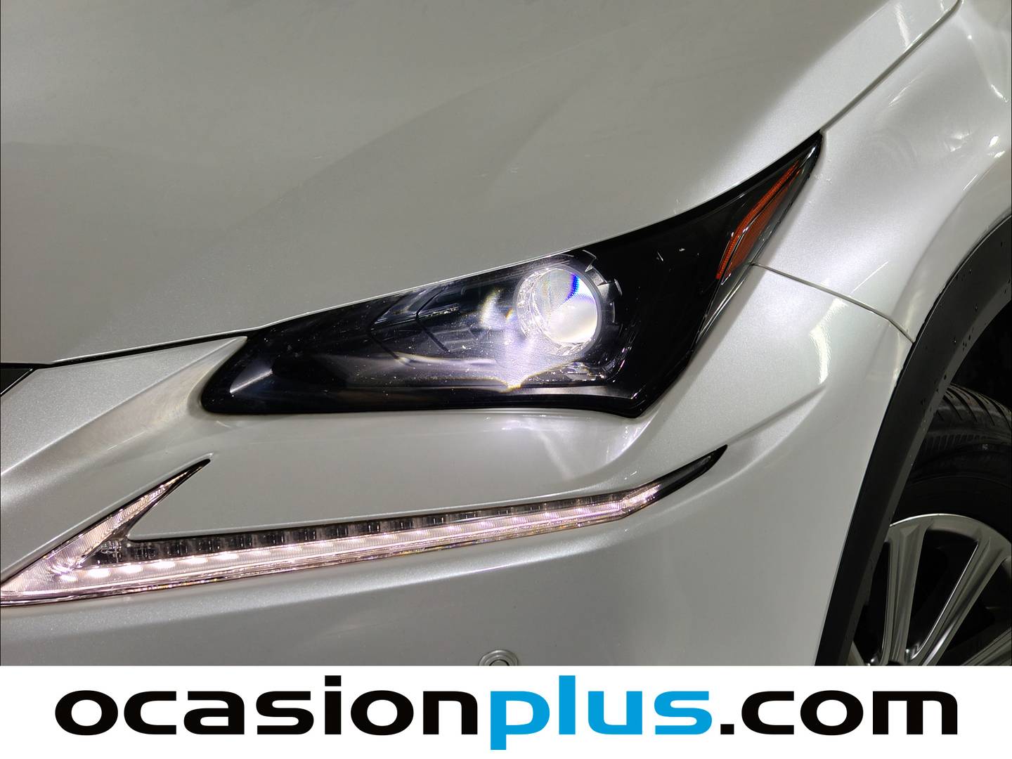 Foto Lexus NX Lexus NX 300h Business 2WD (197 CV)
