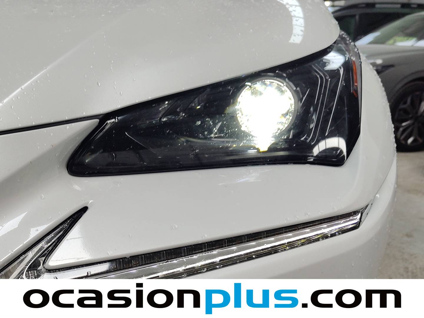 Extras del Lexus NX Lexus NX 300h Business Navigation 2WD (197 CV)