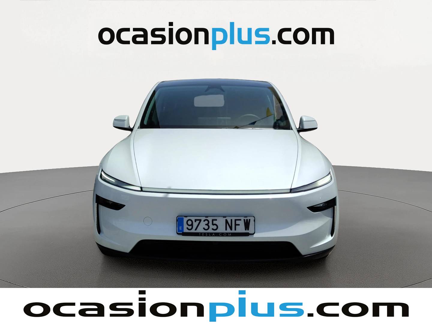 Tesla Model Y Tesla Model Y Gran Autonomía Tracción Trasera (295 CV) 295cv