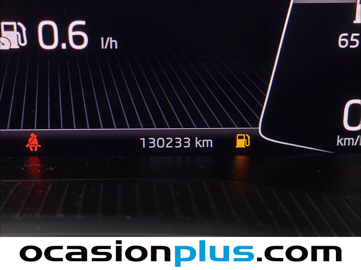 Skoda Karoq Skoda Karoq 1.6 TDI Ambition (115 CV) seminuevo