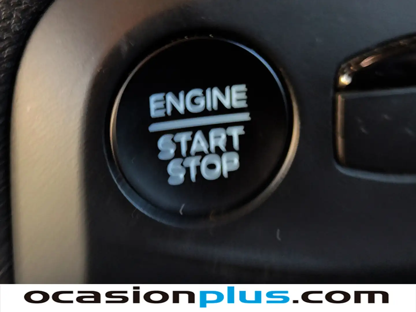 Foto Ford Focus Ford Focus 1.0 Ecoboost MHEV Active (155 CV)