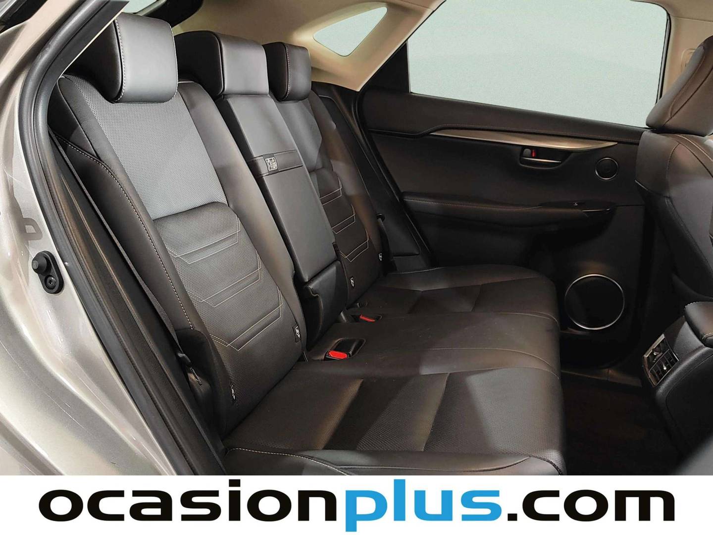 Lexus NX Lexus NX 300h Executive Navigation 4WD (197 CV) automático