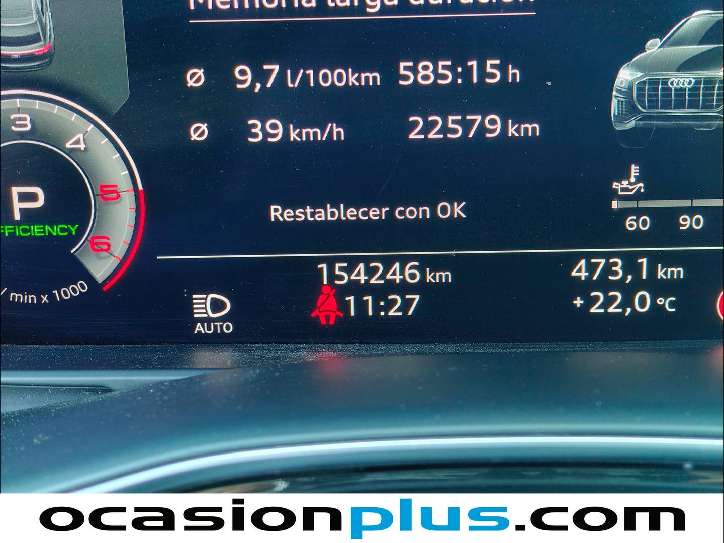 Audi Q8 Audi Q8 50 TDI quattro (286 CV) tiptronic Pack S-Line seminuevo