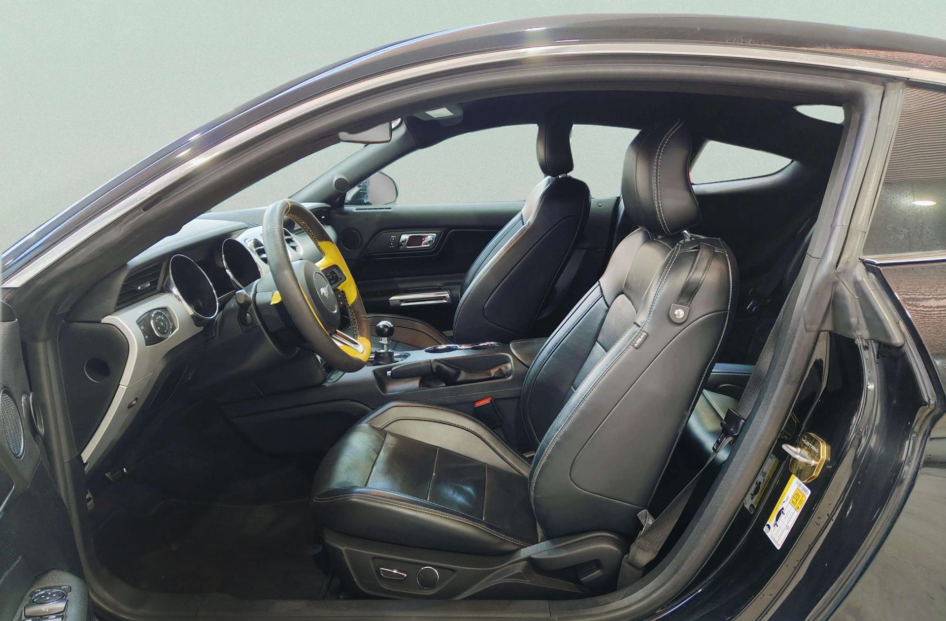 Ford Mustang 2.3 EcoBoost Mustang (Fastback) - foto 13