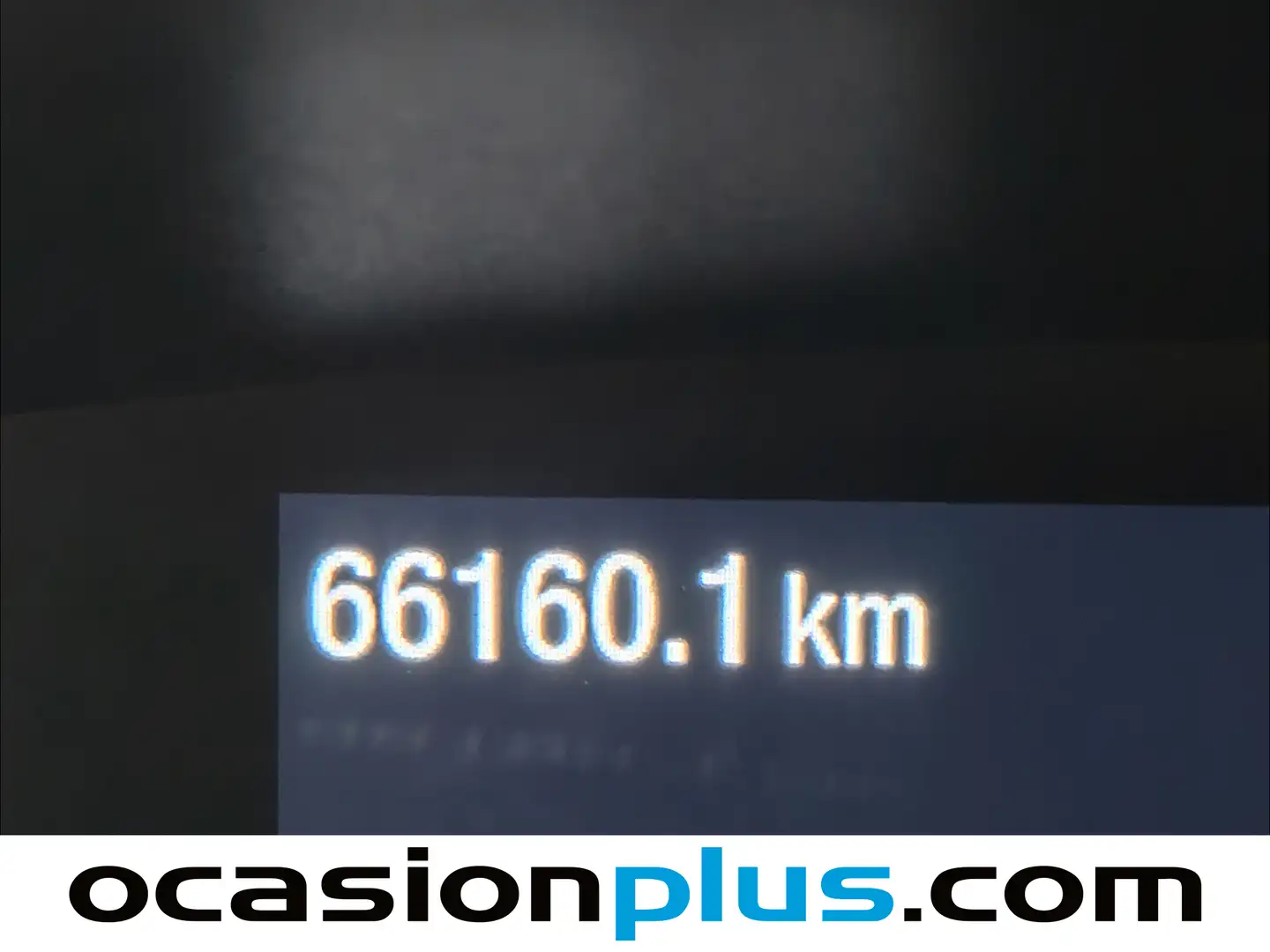 Foto Ford Focus Ford Focus 1.0 Ecoboost MHEV ST-Line  (155 CV)