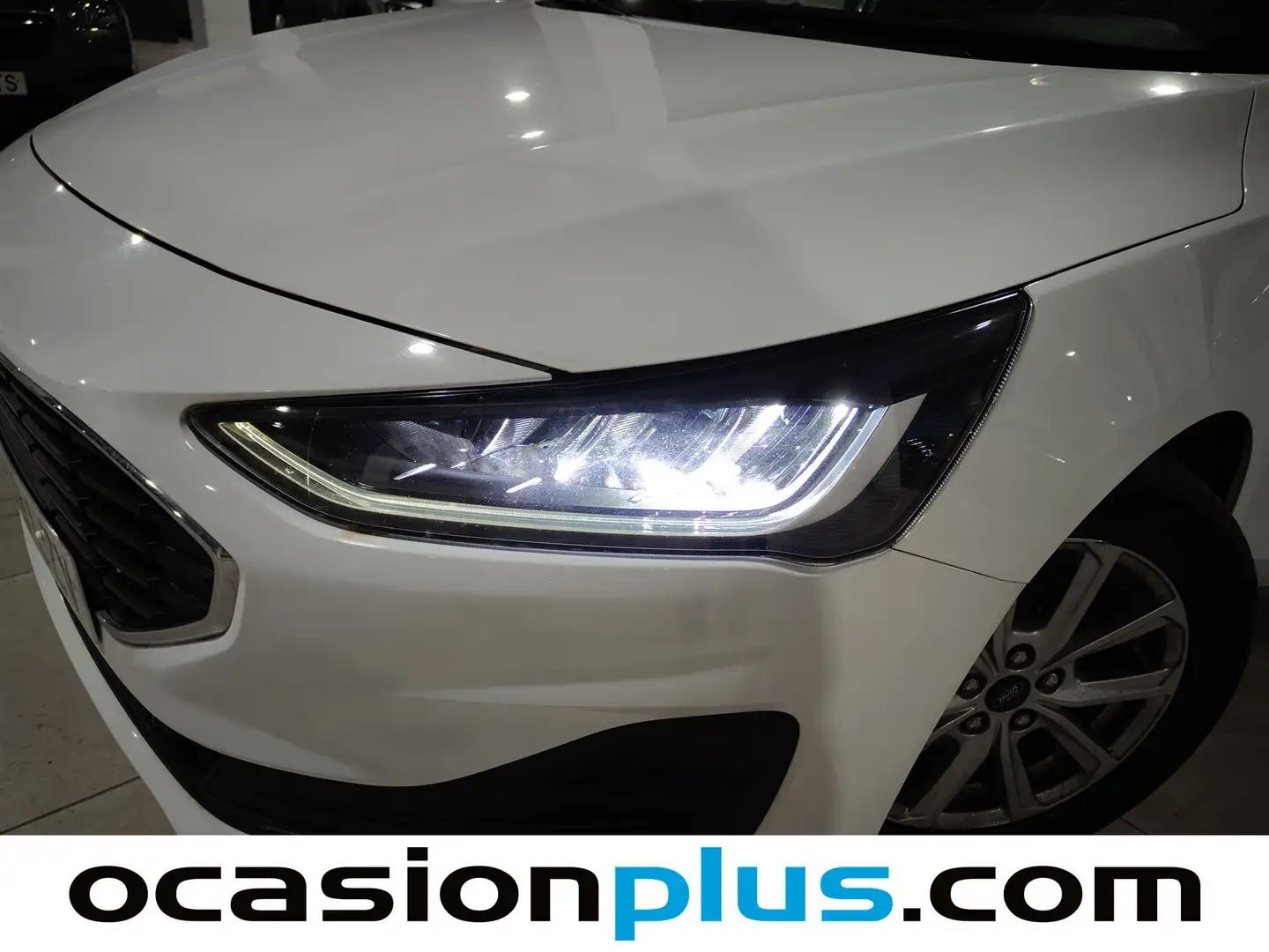 Foto Ford Focus Ford Focus 1.5 Ecoblue Trend+ Auto (120 CV)