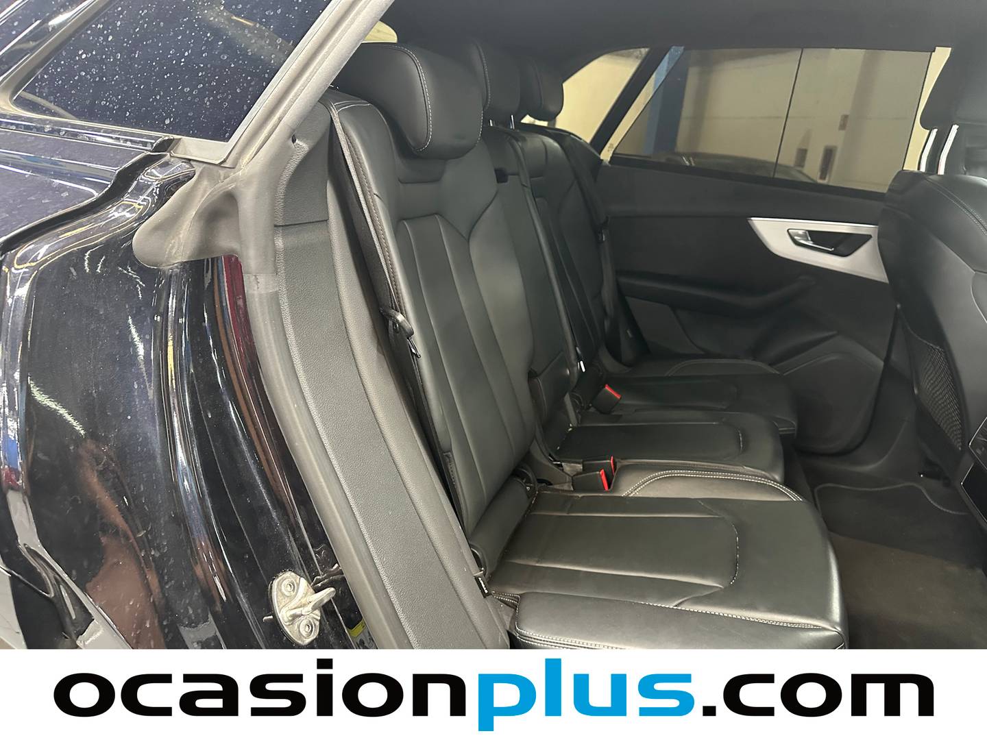 Audi Q8 Audi Q8 Black line 55 TFSI quattro (340 CV) tiptronic al mejor precio