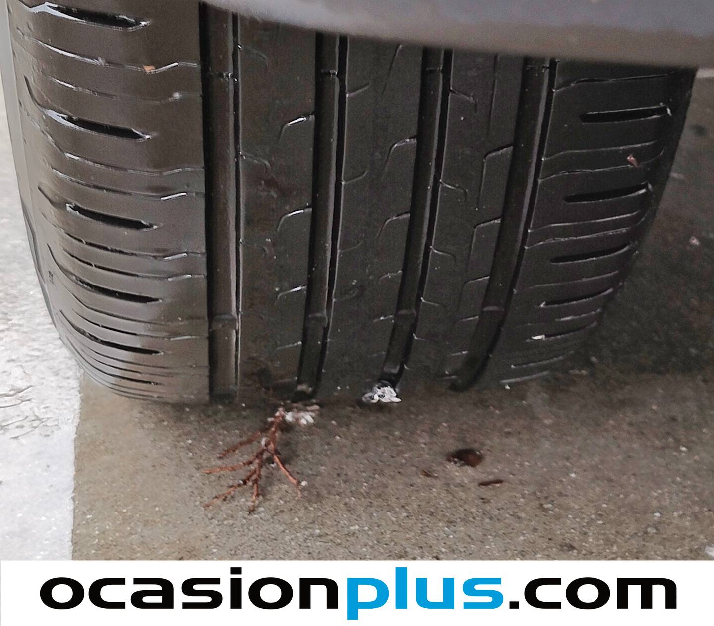 Ford Focus Ford Focus 1.0 Ecoboost MHEV Active (125 CV) seminuevo