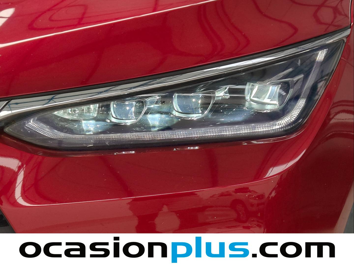 Accesorios del BYD Tang BYD Tang Flagship (517 CV)