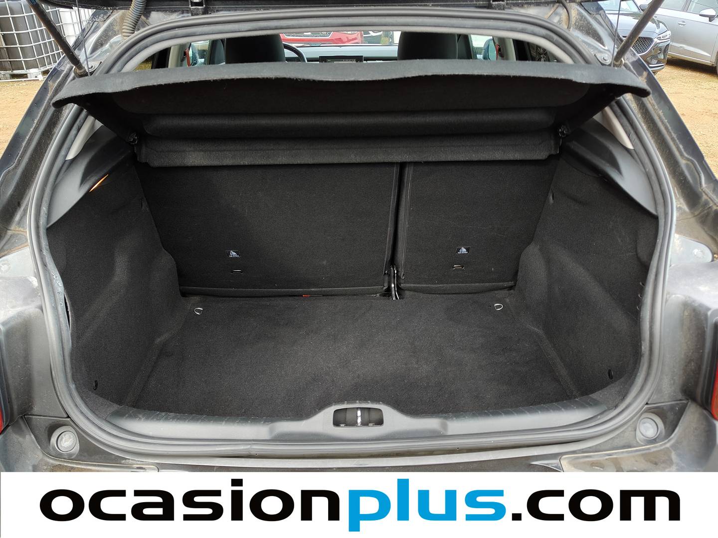 Foto Citroën C4 Cactus Citroen C4 Cactus PureTech 110 S&S Rip Curl (110 CV)