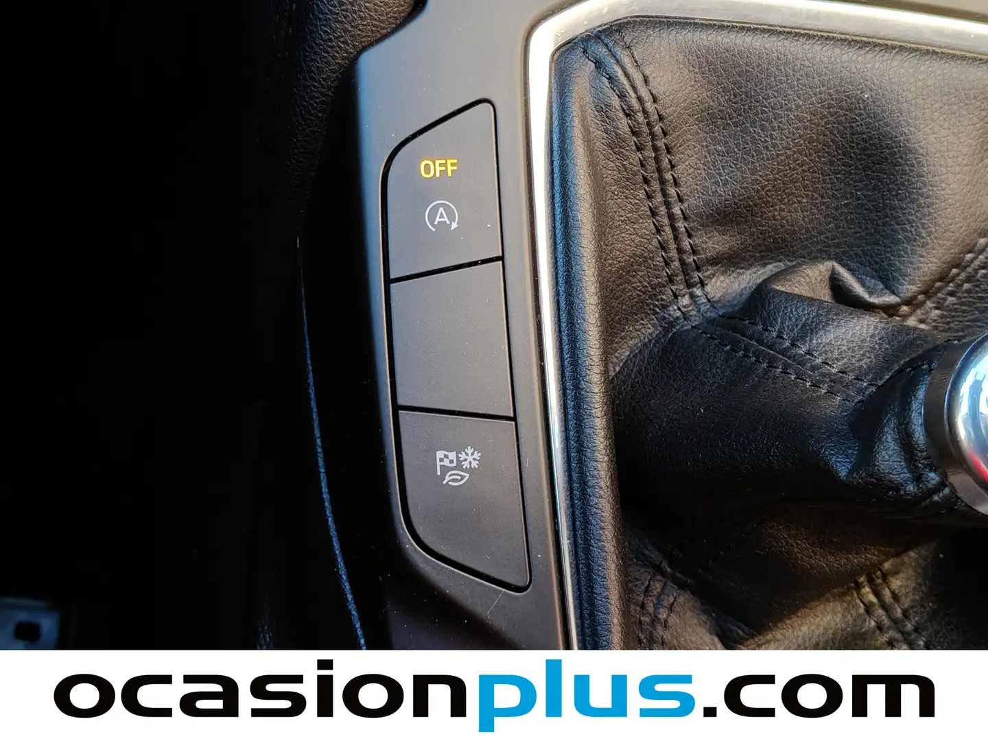 Foto Ford Kuga Ford Kuga 1.5 EcoBlue Titanium Auto (120 CV)