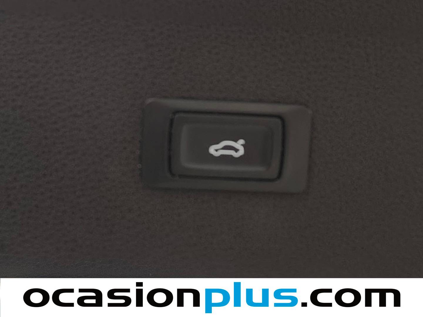 Audi Q5 Audi Q5 Advanced 2.0 TDI (150 CV) km 0