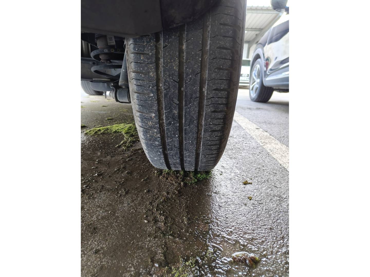 Fiat Panda Fiat Panda 1.0 Hybrid Garmin (70 CV) 2023