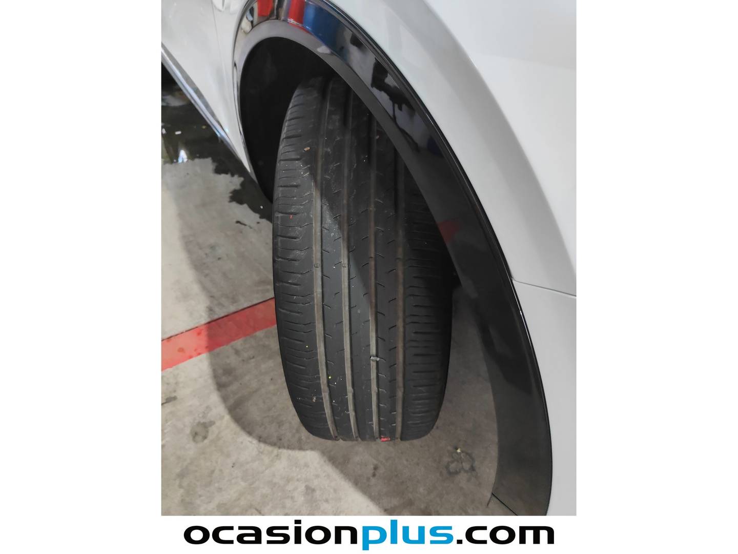 KIA Sportage Kia Sportage 1.6 T-GDi MHEV Tech 4x2 (150 CV) barato