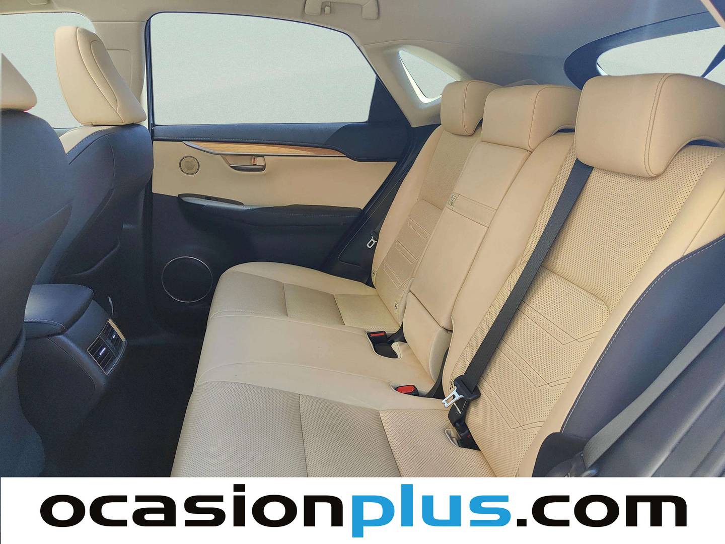 Foto asientos traseros Lexus NX Lexus NX 2.5 300h Luxury 4WD (197 CV)