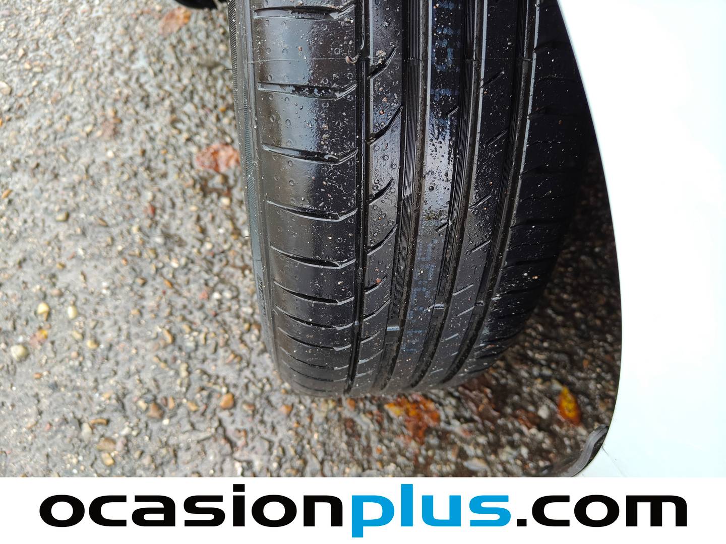 Seat Ibiza Seat Ibiza 1.0 TSI S&S Style (115 CV) 2026