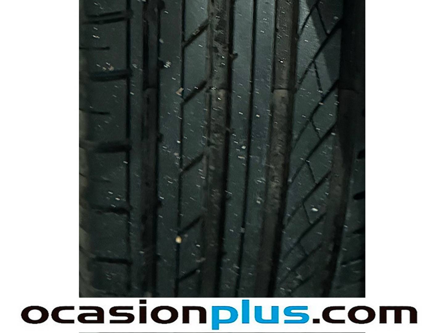 Foto Ford Focus Ford Focus SportBreak 1.0 Ecoboost Business (125 CV)