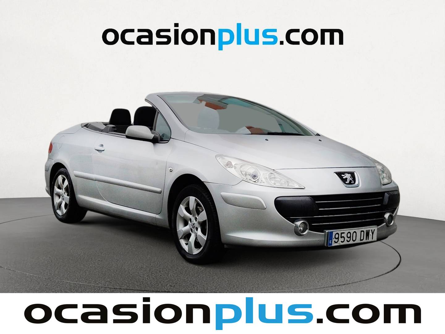 Foto Peugeot 307 Peugeot 307 CC CC 2.0 16v Cabrio (143 CV)
