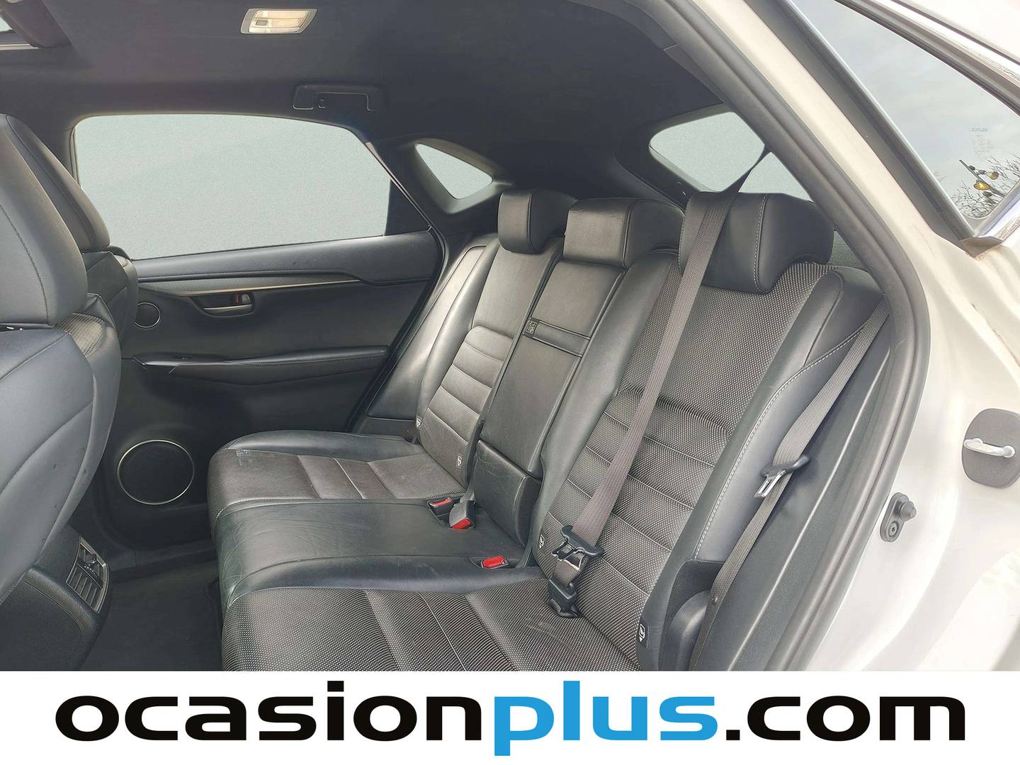 Foto asientos traseros Lexus NX Lexus NX 300h F Sport Panorámico + Navibox 4WD (197 CV)