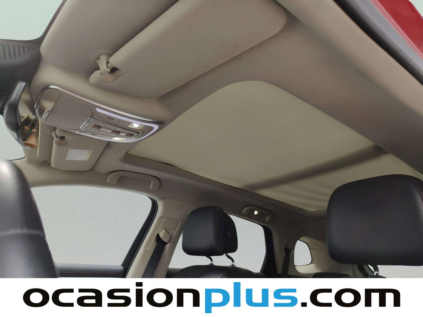 Extras y acabados del BYD Tang BYD Tang Flagship (517 CV)
