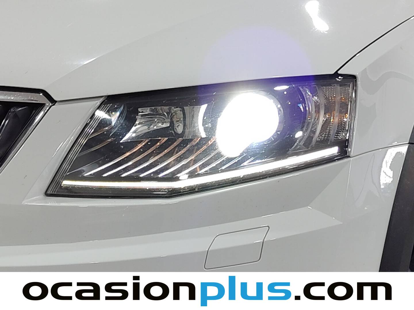Skoda Scout Skoda Scout 2.0 TDI CR DSG 4x4 (184 CV) al mejor precio
