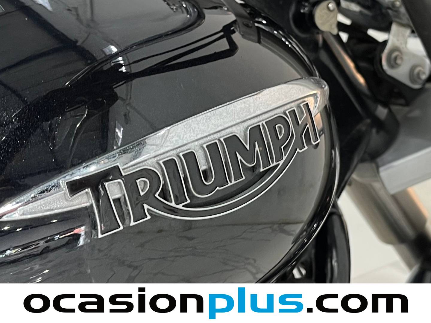 Triumph America Triumph America America (61CV) 2015
