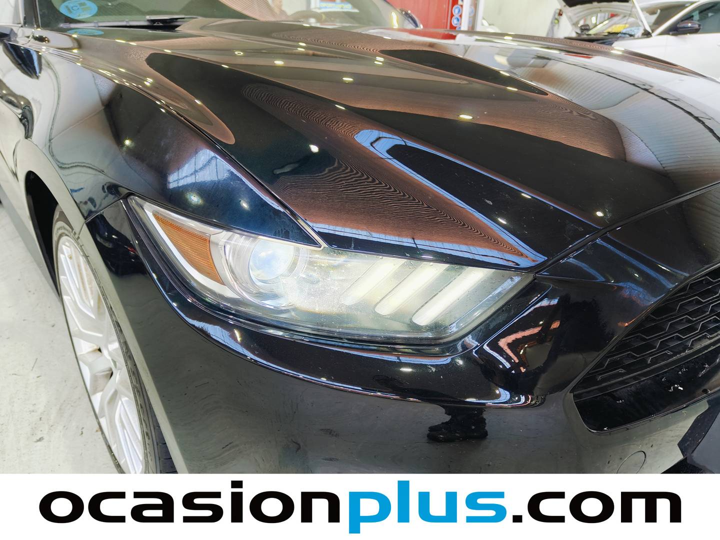 Ford Mustang Ford Mustang 2.3 EcoBoost Mustang (Fastback) (314 CV) al mejor precio