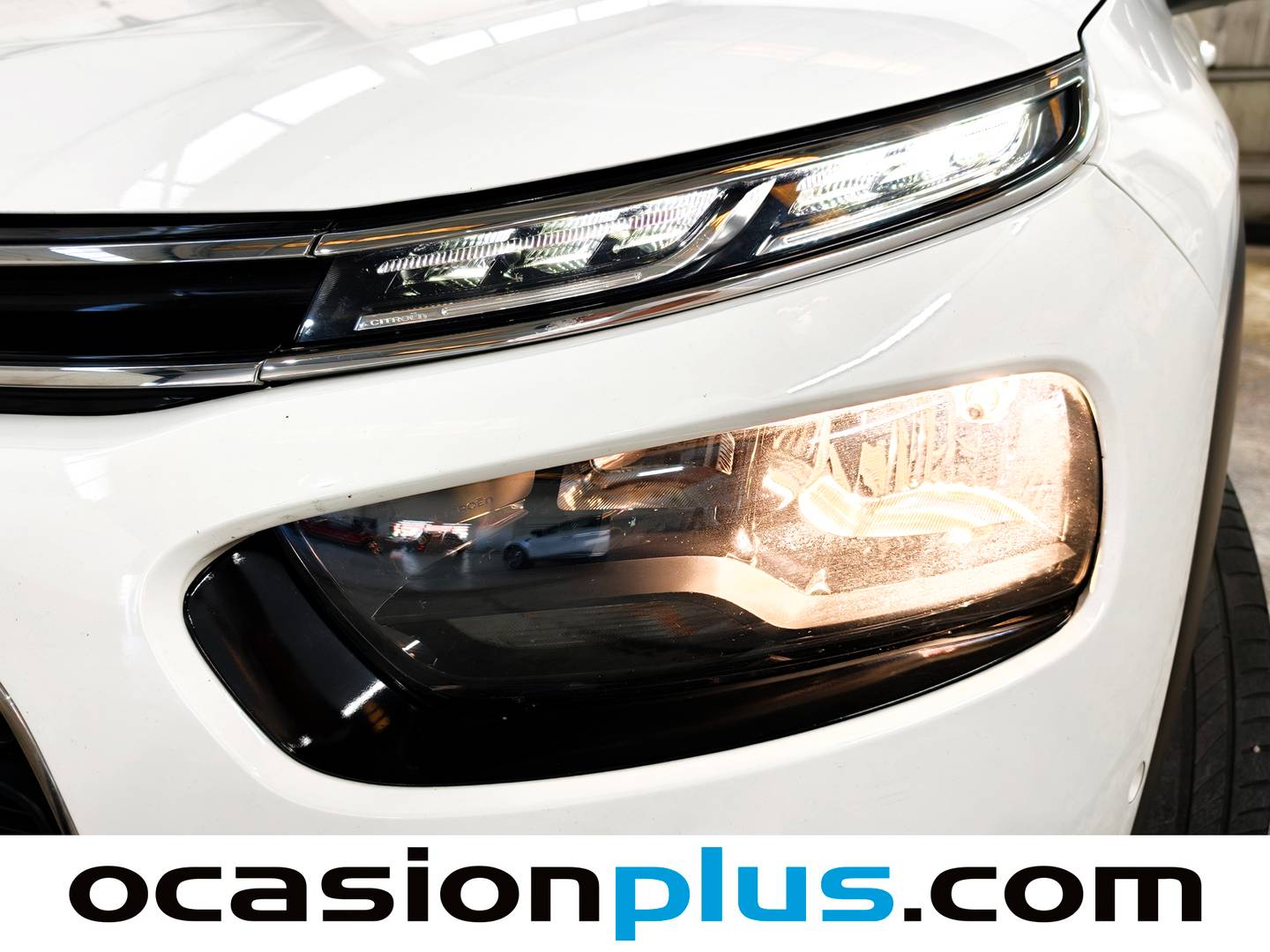 Citroën C4 Cactus Citroën C4 Cactus PureTech 110 S&S Shine (110 CV) barato
