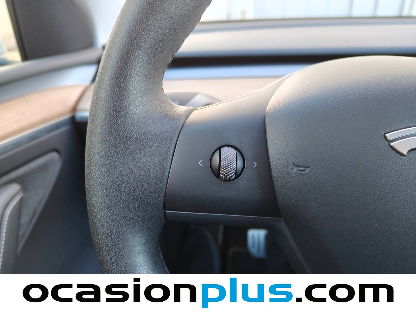 Tesla Model Y Tesla Model Y Performance 4WD (534 CV) 534cv