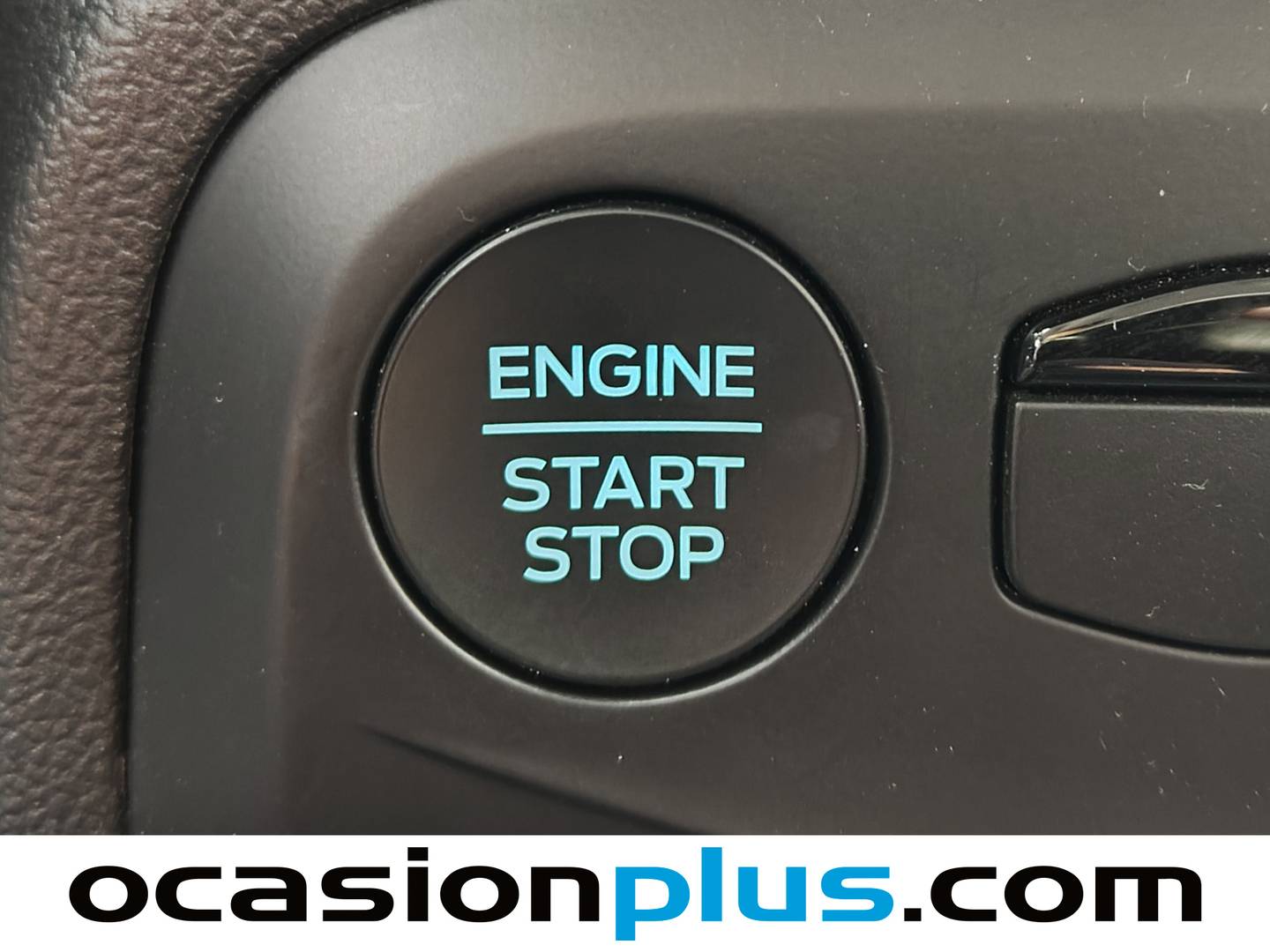 Ford Focus Ford Focus 1.0 Ecoboost MHEV Active Auto (155 CV) al mejor precio