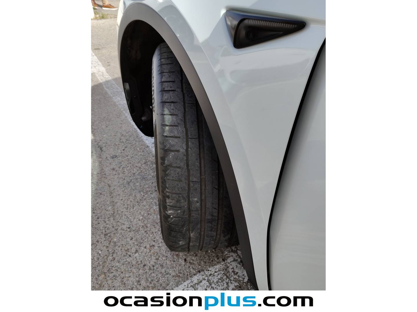 Tesla Model Y Tesla Model Y Tracción Trasera RWD (347 CV) barato