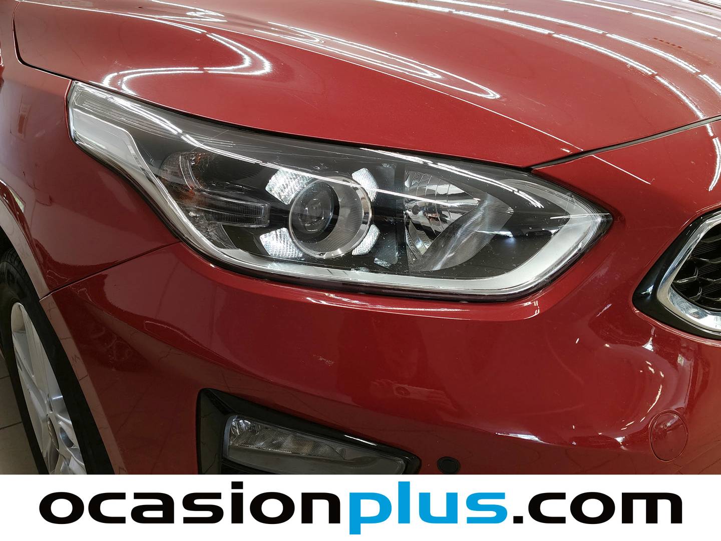 KIA Ceed KIA Ceed 1.6 CRDi Drive (115 CV) al mejor precio