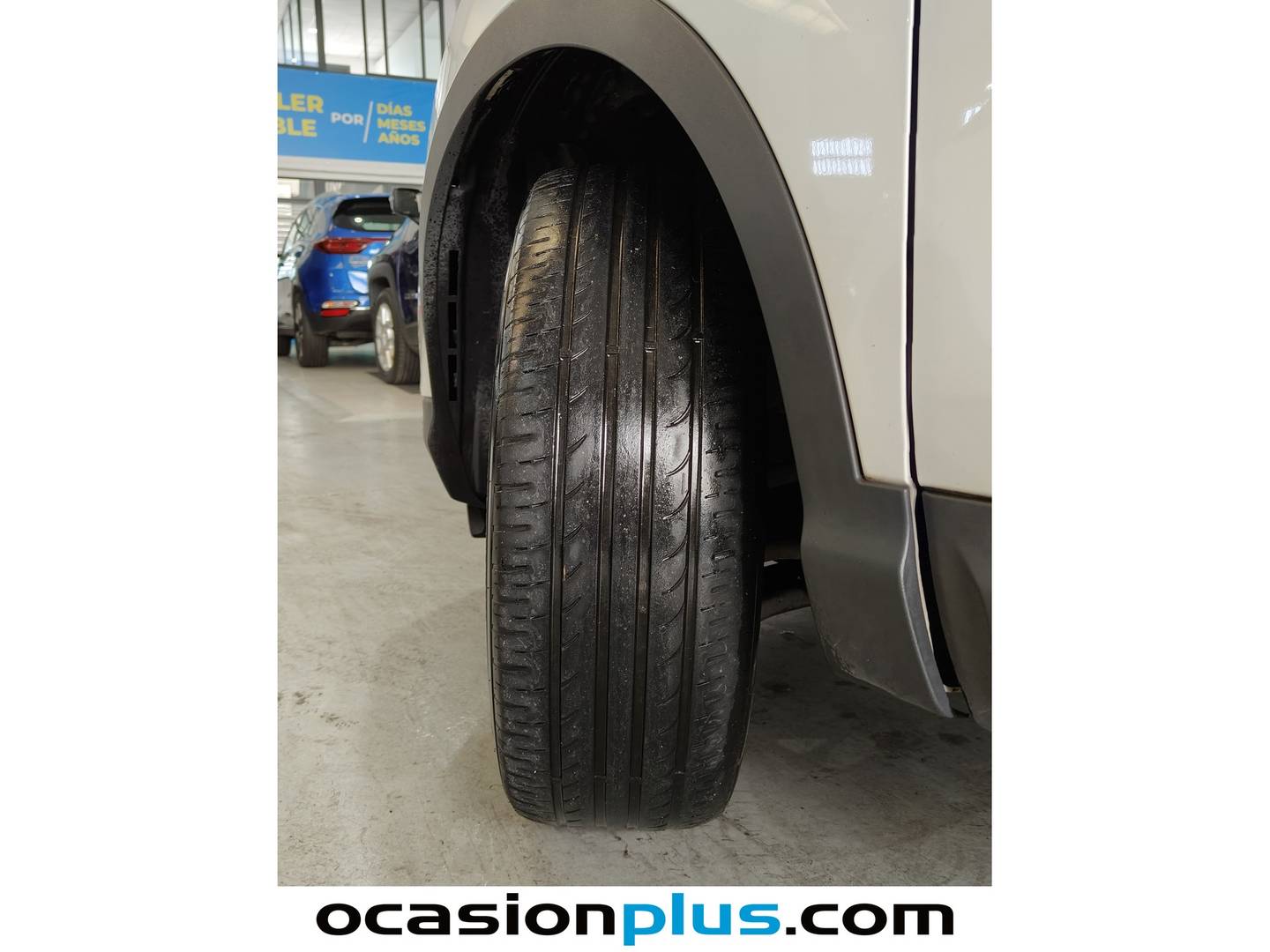 Nissan QASHQAI Nissan Qashqai dCi 115 N-Connecta (115 CV) 115cv