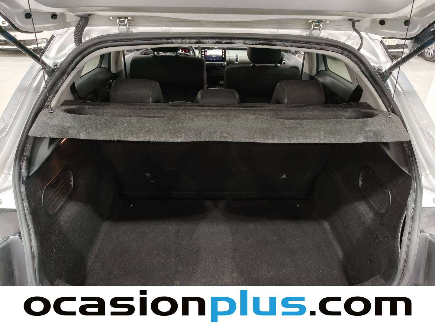 Foto Citroën C4 Cactus Citroen C4 Cactus BlueHDi 100 S&S Feel ETG6 (100 CV)