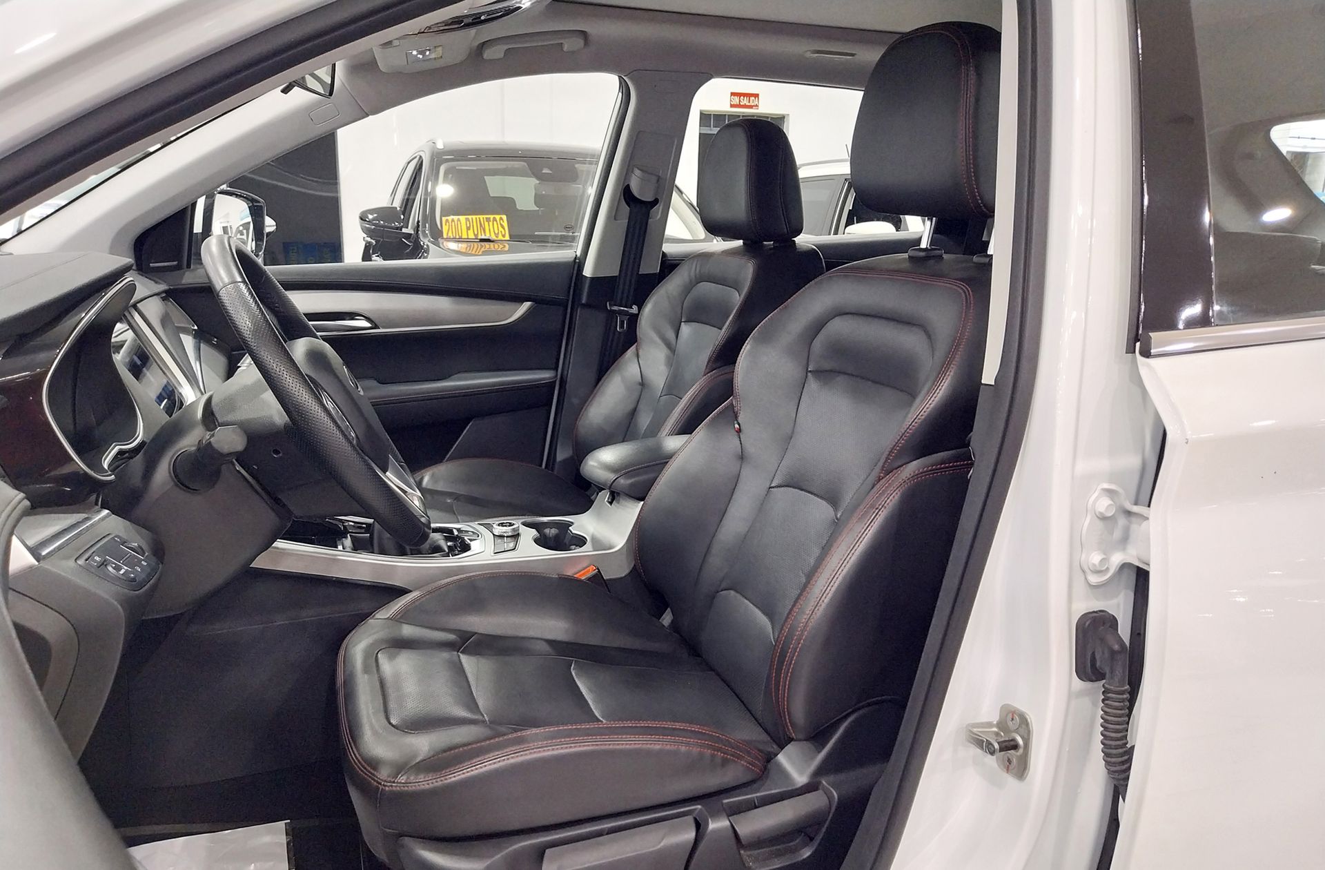SWM G01 1.5T Luxury - foto 12