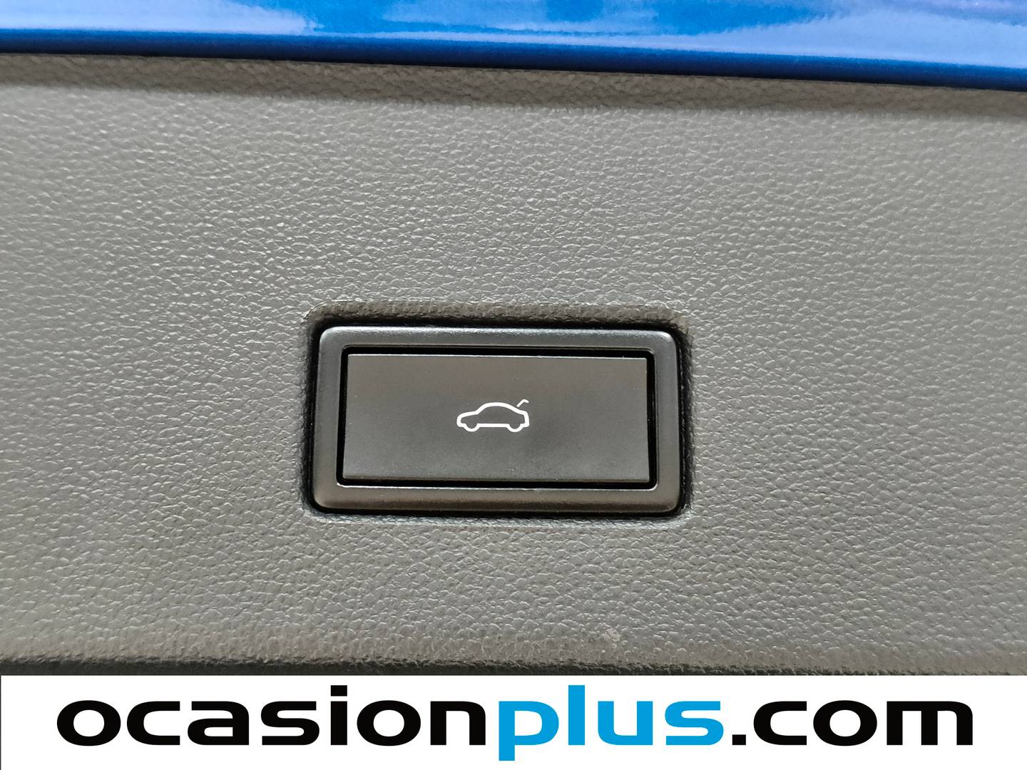 Extras del Volkswagen T-Roc Volkswagen T-Roc Advance Style 1.0 TSI (115 CV)