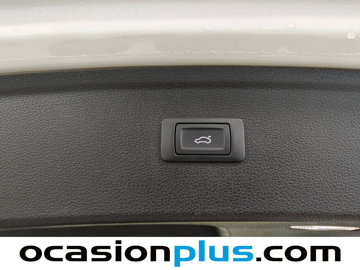 Audi Q5 Audi Q5 Advanced 2.0 TDI (150 CV) diésel