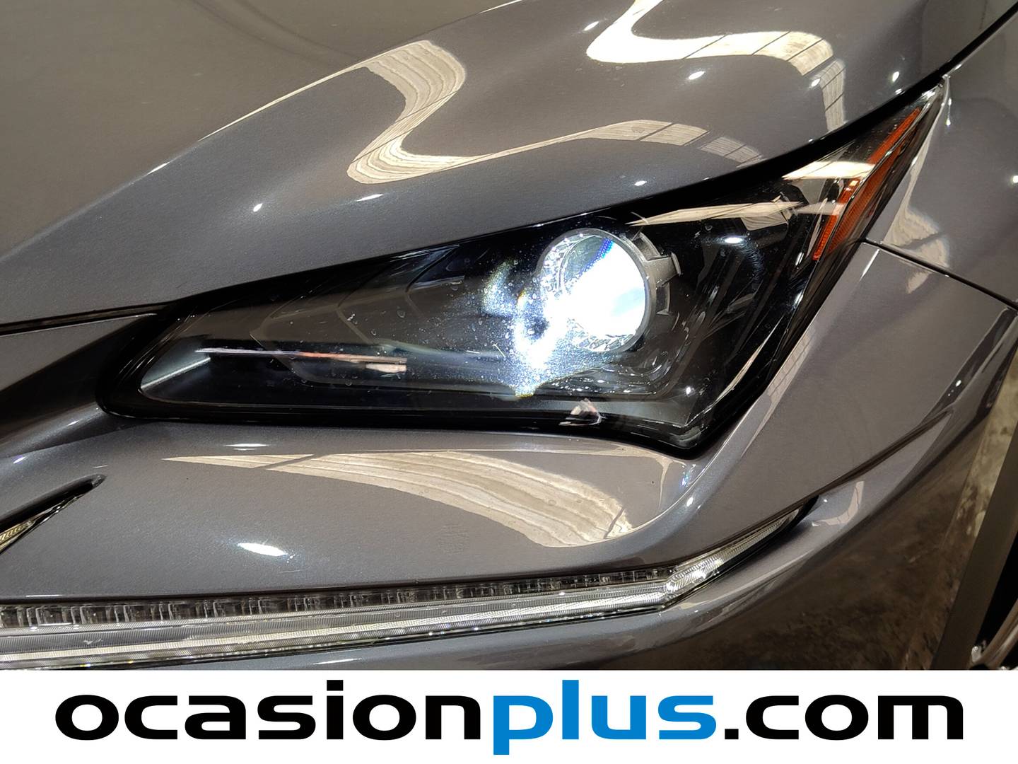 Extras del Lexus NX Lexus NX 300h Business 2WD (197 CV)