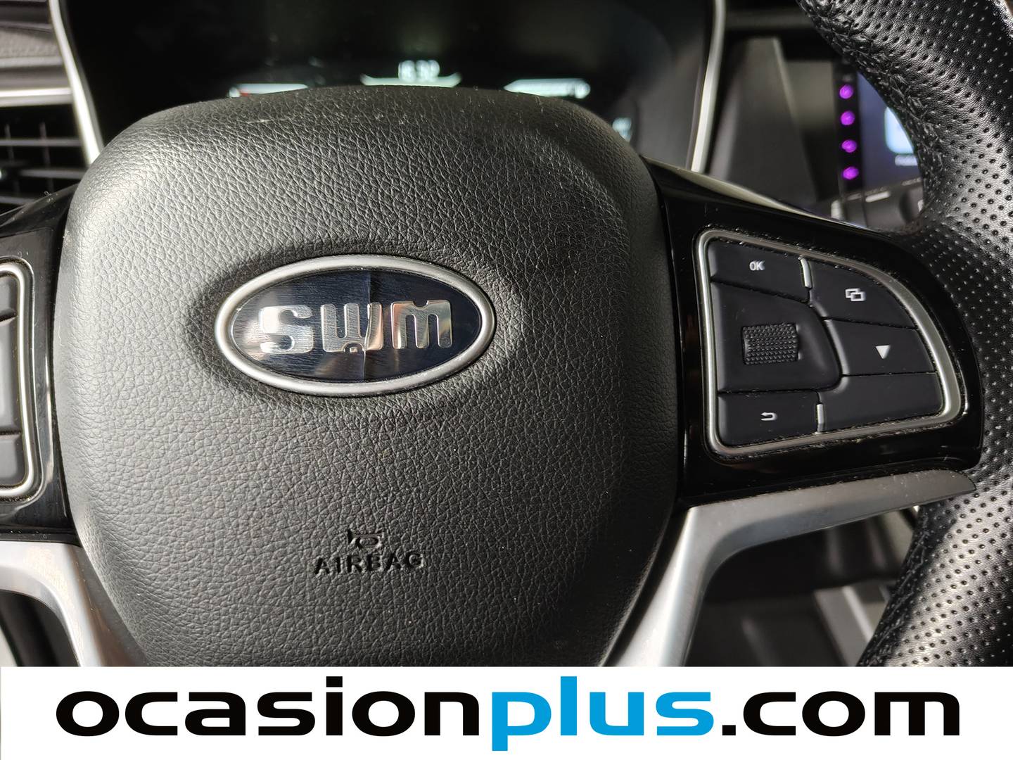 SWM G01 SWM G01 1.5T Luxury (131 CV) seminuevo