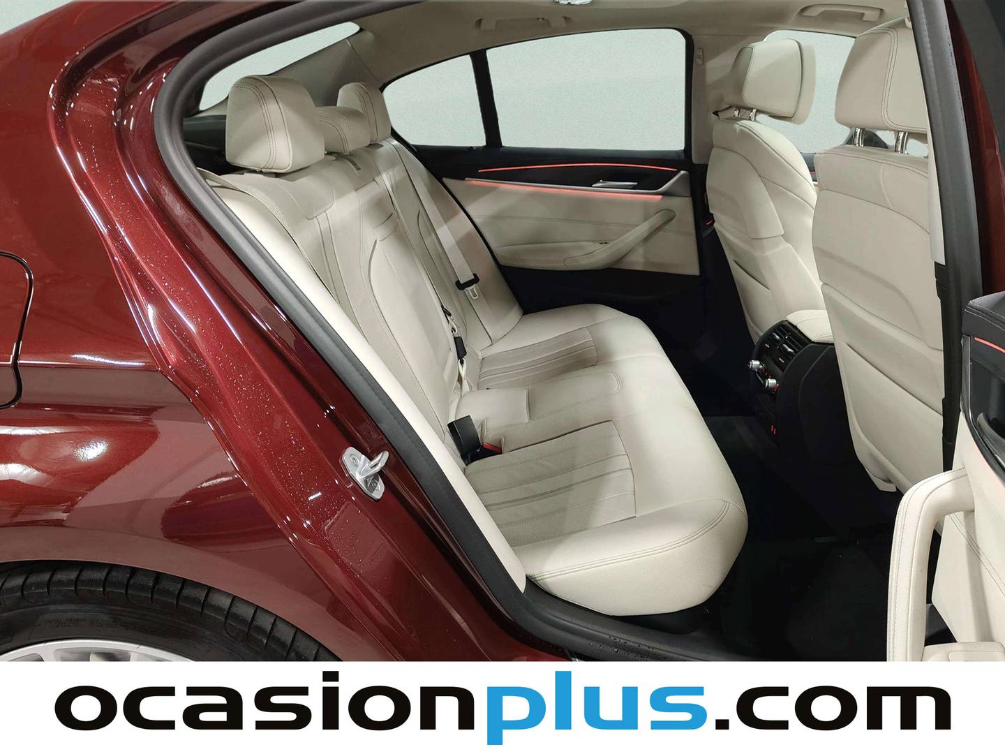 BMW Serie 5 BMW Serie 5 530d (286 CV) 2021