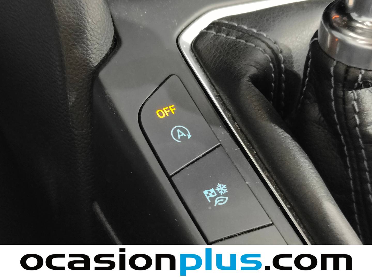 Foto Ford Focus Ford Focus 1.0 Ecoboost MHEV Active (155 CV)