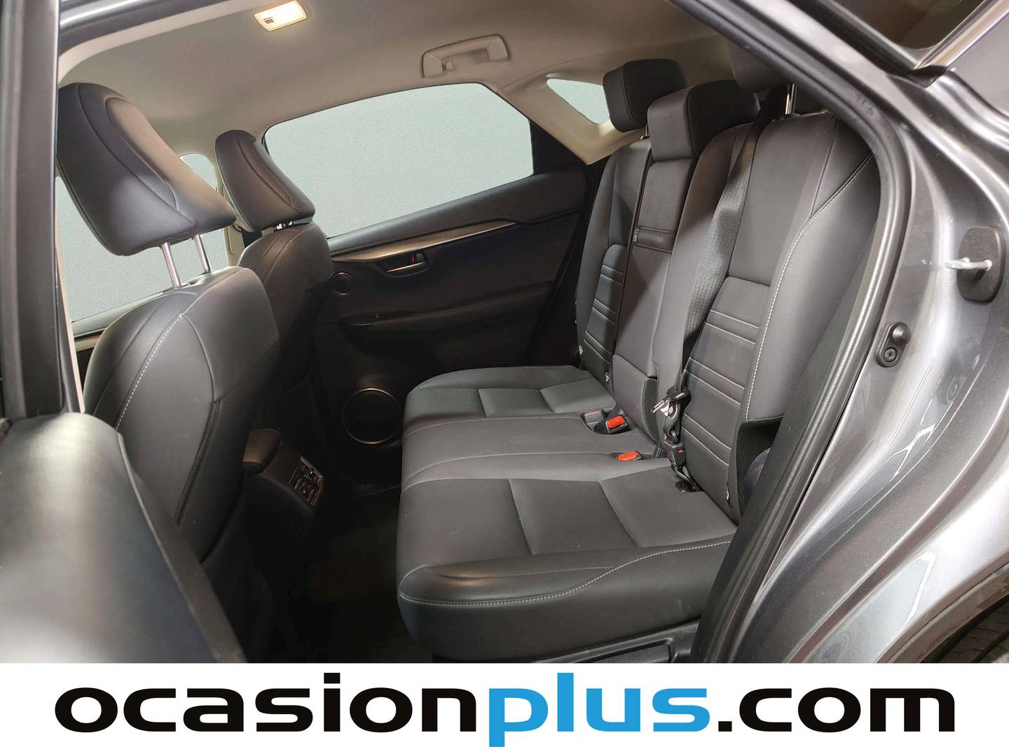 Foto asientos traseros Lexus NX Lexus NX 300h Premium 2WD (197 CV)