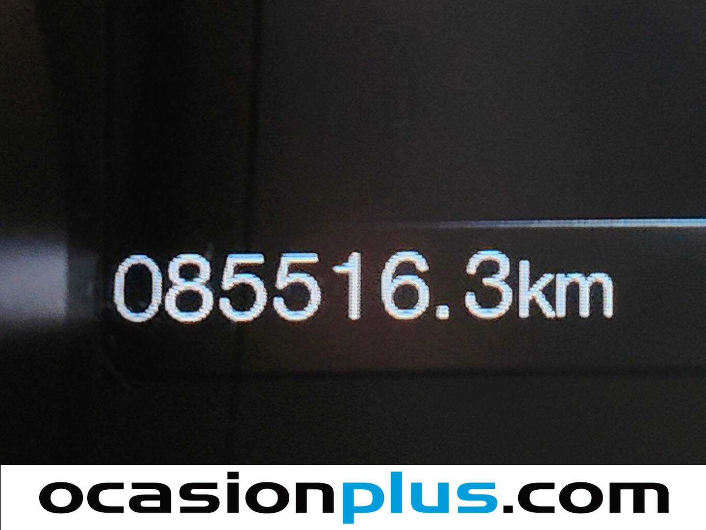 Ford Mustang Ford Mustang 2.3 EcoBoost Mustang (Fastback) (314 CV) seminuevo
