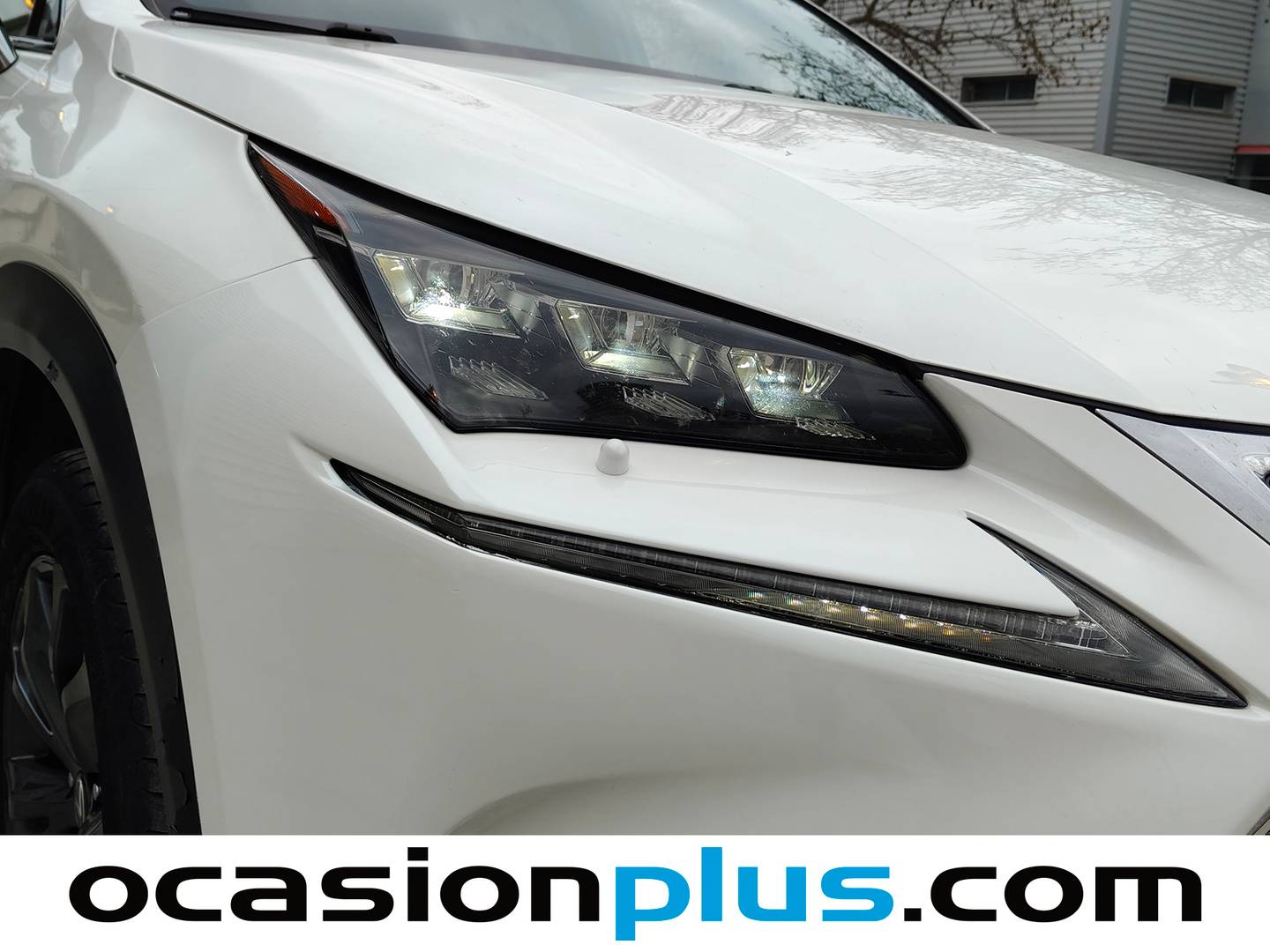 Lexus NX Lexus NX 300h F Sport Panorámico + Navibox 4WD (197 CV) barato