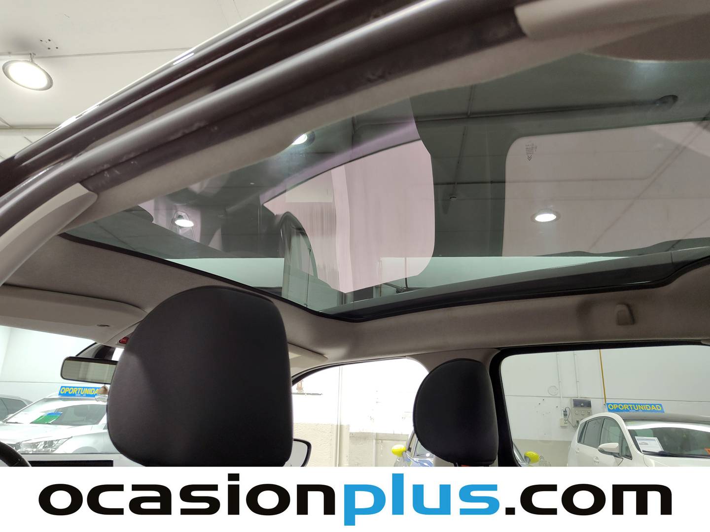 Extras y acabados del Citroën C4 Cactus CITROEN C4 Cactus BlueHDi 100 Rip Curl (100 CV)