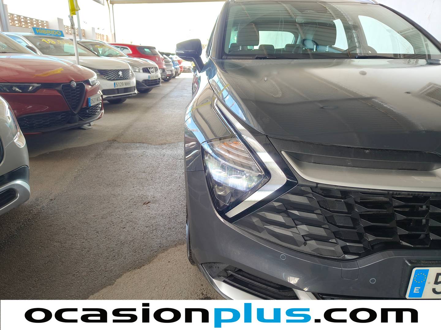 Acabados KIA Sportage Kia Sportage 1.6 CRDi MHEV Business 4x2 DCT (136 CV)