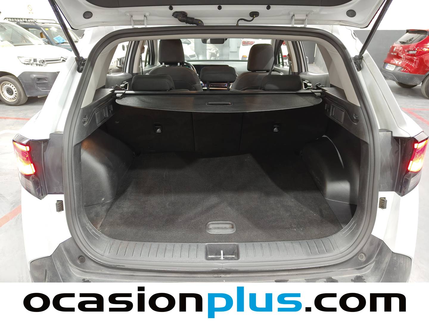 Foto KIA Sportage Kia Sportage 1.6 CRDi MHEV Business 4x2  (136 CV)